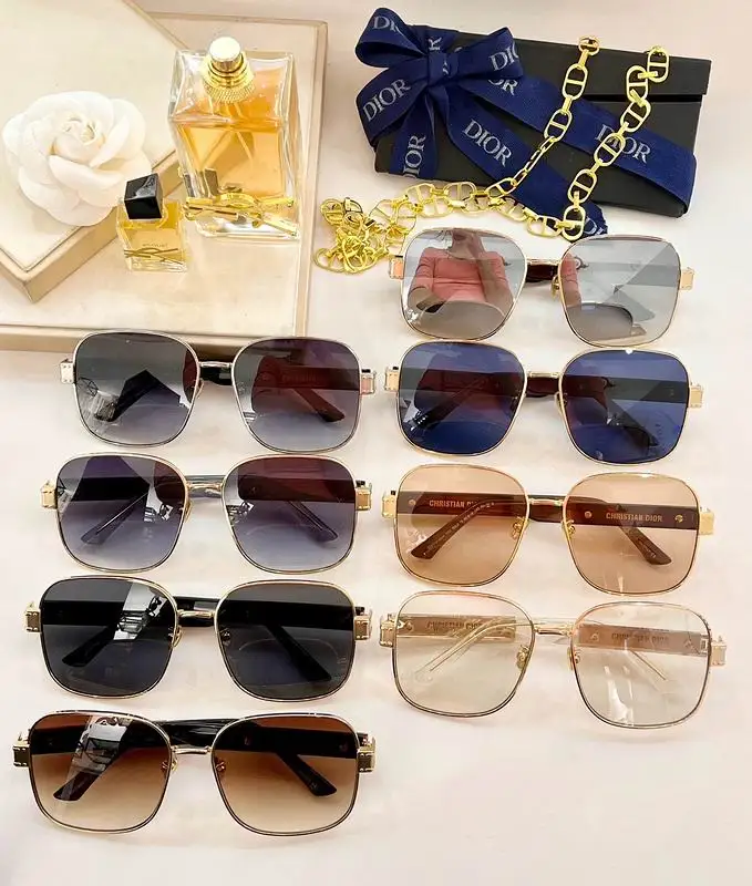 Dior Glasses smh (59)